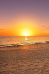 吉约克再挑卫冕冠军：掘金天团奇袭夺宝