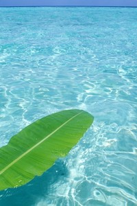 米兰经验不足，憾失胜机惨遭逆转