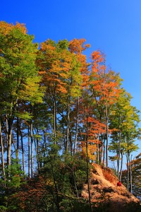 挪威客场大胜日本，晋级形势喜人
