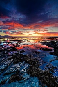 五大篮球联赛即将展开，球员备战成效显著：赛季前瞻与看点