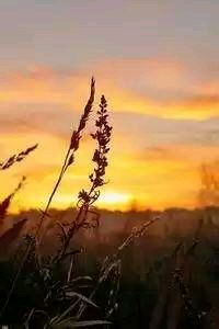 挪威客场大胜日本，晋级形势喜人