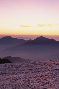 吉约克再挑卫冕冠军：掘金天团奇袭夺宝