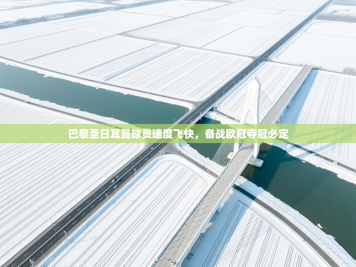 巴黎圣日耳曼球员速度飞快,备战欧冠夺冠必定 第1张